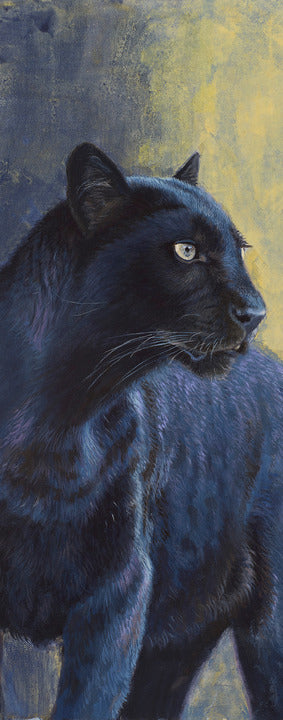 44A Panther