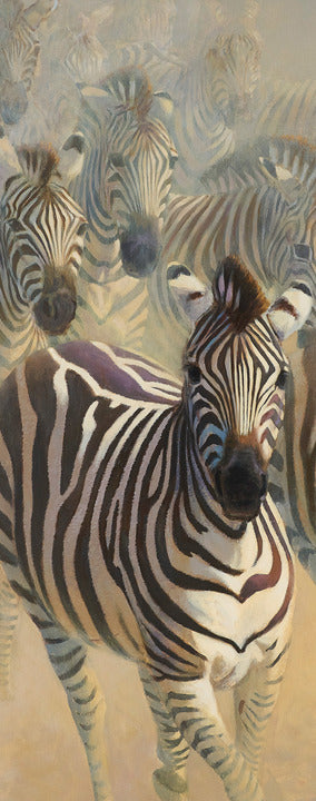 44B Zebras