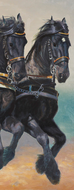 44C Horses