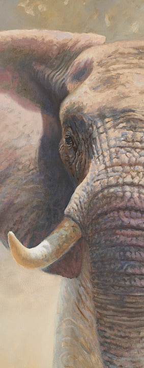 44D Elephant