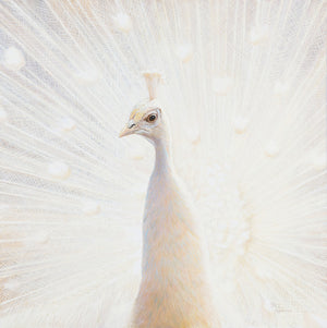 44E Peafowl