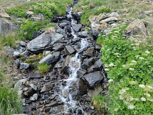 44U Mountain stream